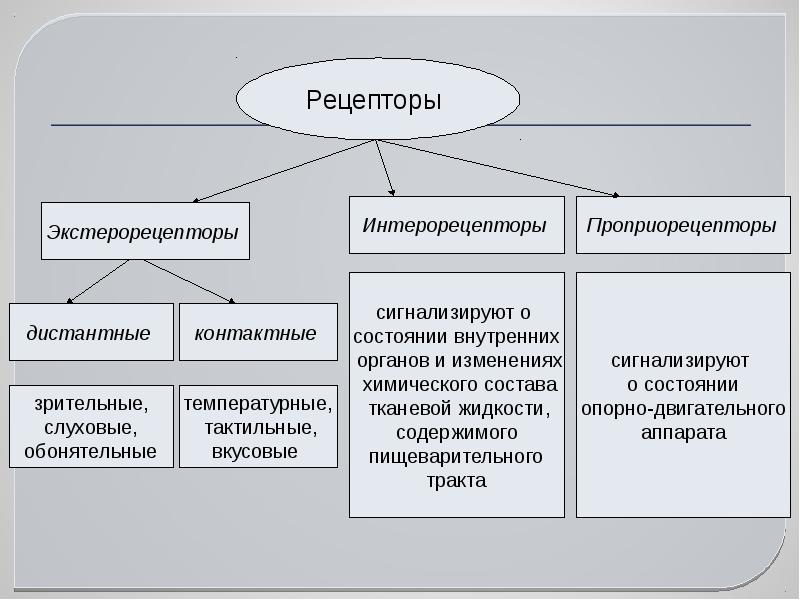 Интеллектуальные сенсорные системы презентация