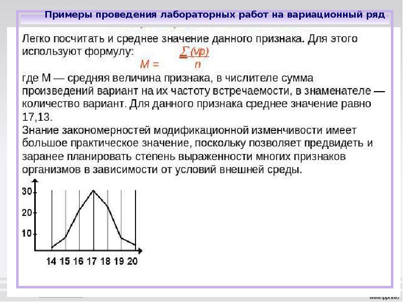 Закономерности изменчивости презентация