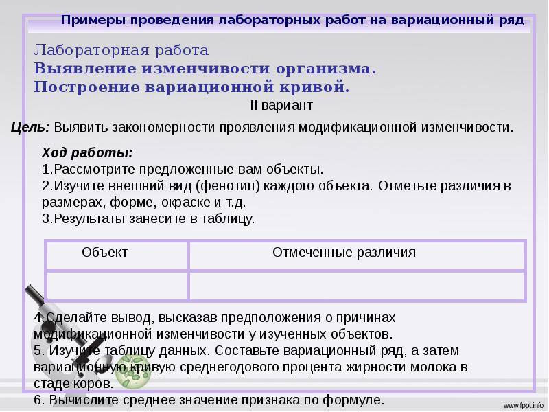 Закономерности изменчивости 11 класс презентация пасечник