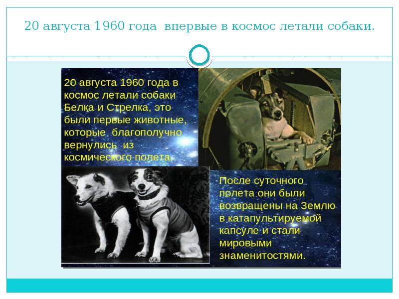 Кто последний полетел в космос. 20 Августа 1960 года в космос. Презентация на тему космос. Кто полетел в космос. Космонавтов которые летали в космос.