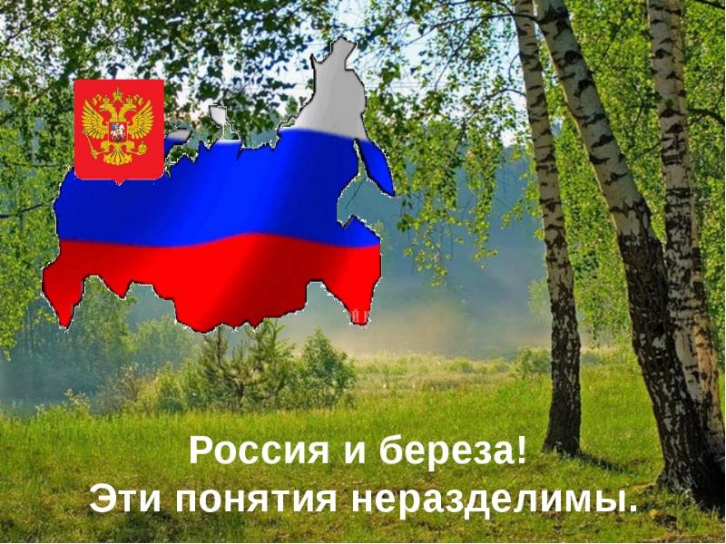 Презентация люблю тебя моя россия