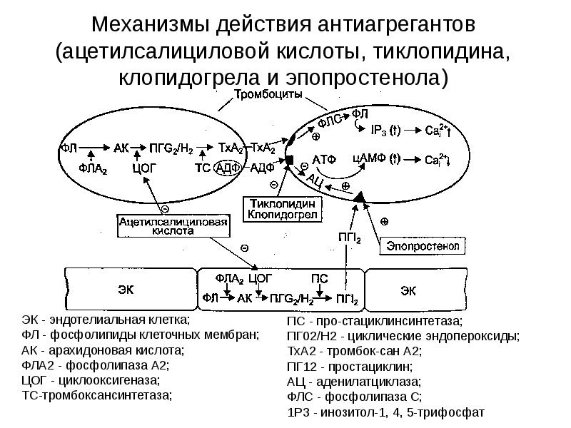 Кислоты механизм действия. Антиагреганты схема действия. Механизм действия антиагрегантов фармакология схема. Схема механизма действия антиагрегантных средств. Антиагреганты ацетилсалициловая кислота механизм действия.