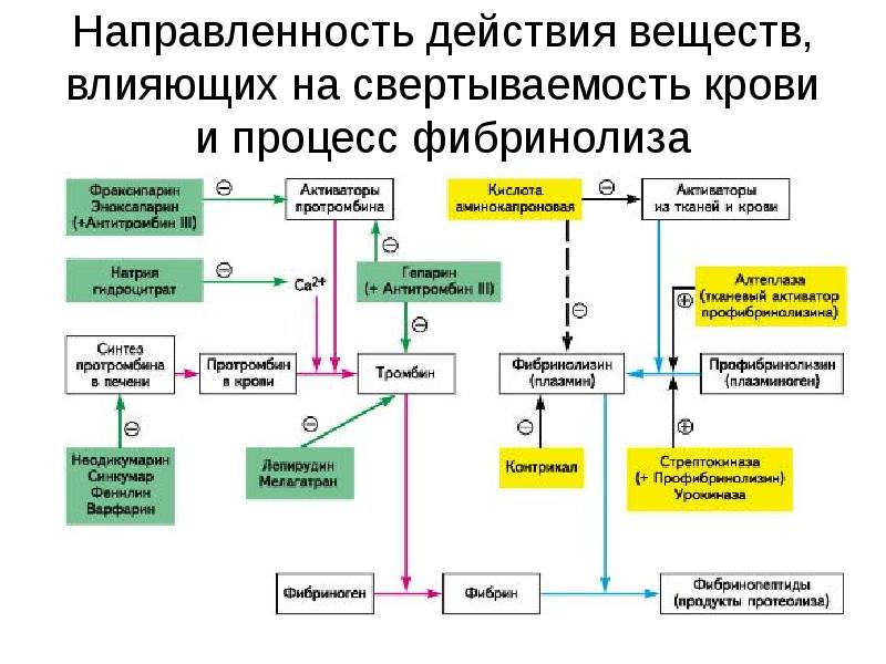 Основные этапы процесса свертывания крови схема