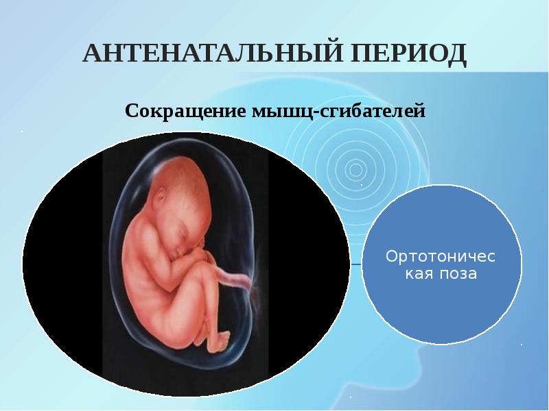 Антенатальный период. Антенатальный период презентация. Антенатальная охрана плода кратко. Периоды беременности антенатальный. Антенатальный скрининг.