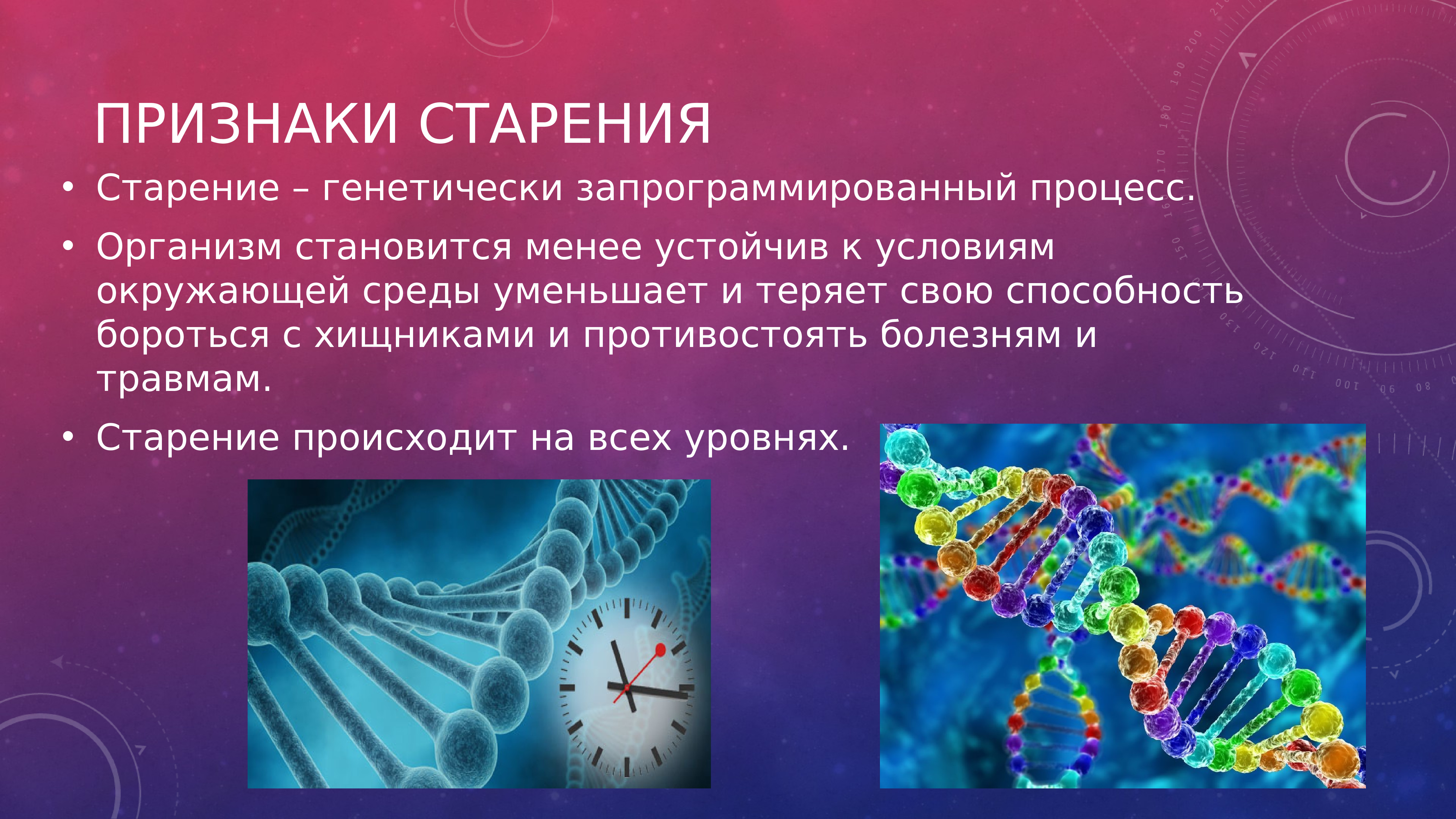 Презентация на тему старение человека и возможность бессмертия