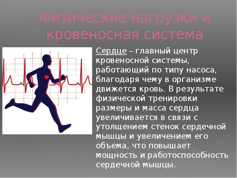 Сердечная активность. Влияние физической нагрузки на сердечно-сосудистую систему. Влияние физических упражнений на кровеносную систему. Нагрузка на сердечно-сосудистую систему.