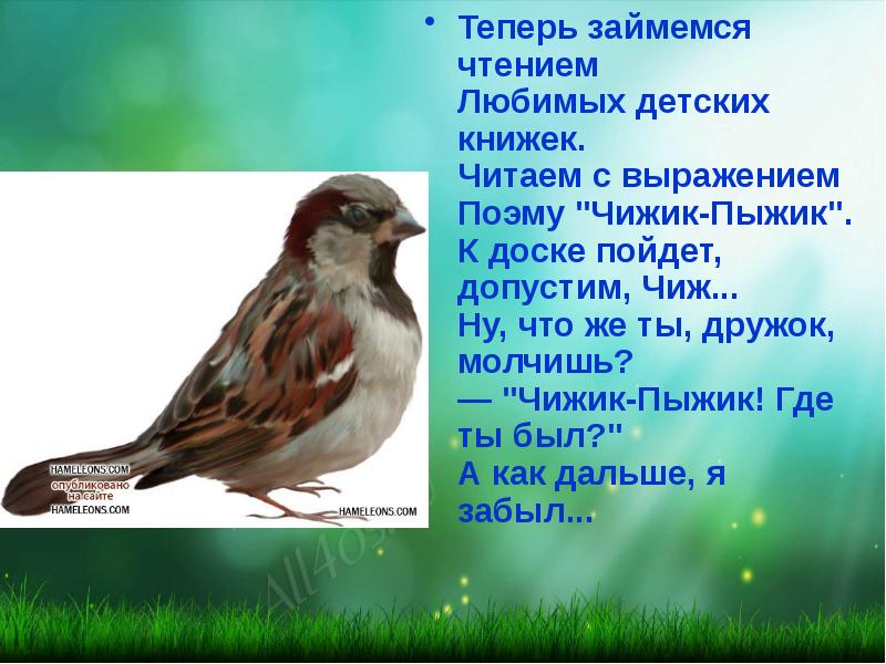 Чижик жердевка. Чижик-пыжик где ты был. Поэма Чижик пыжик. Стишок про Чижика. Чижик пыжик текст.