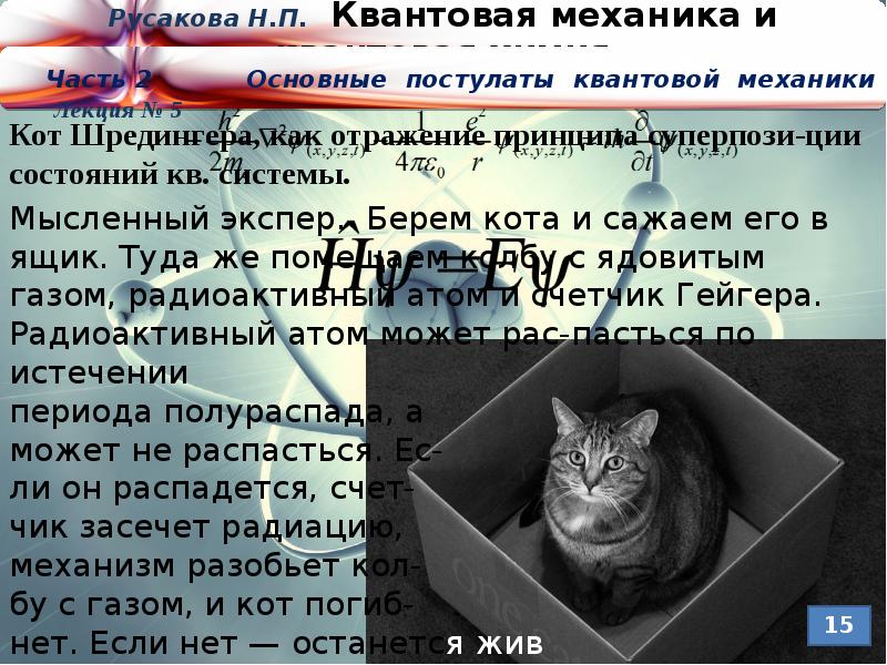 Кот шредингера презентация