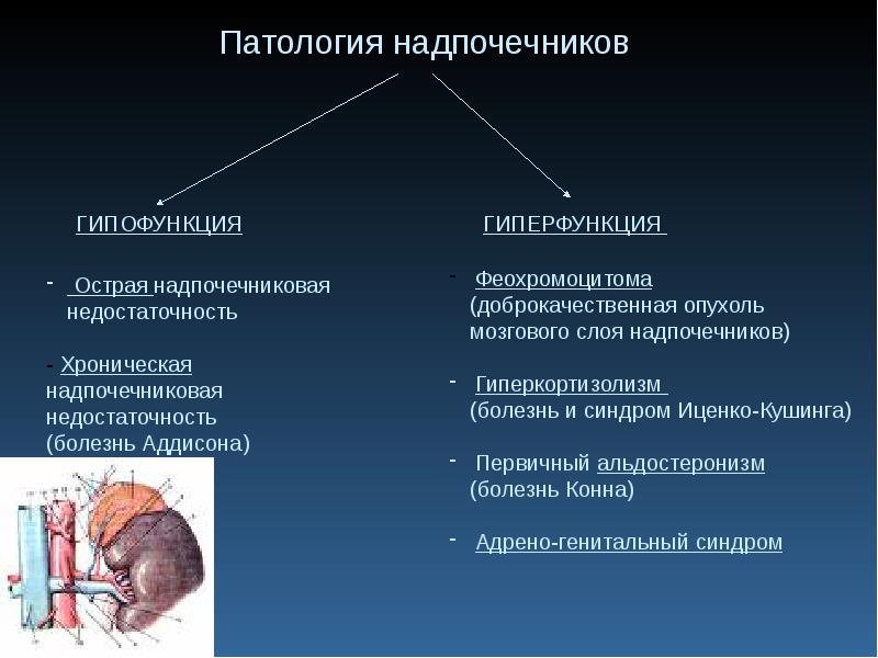 Болезни желез внутренней секреции патанатомия презентация