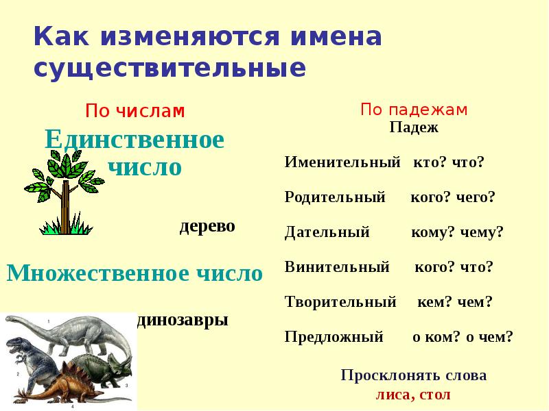 Стол имя существительное