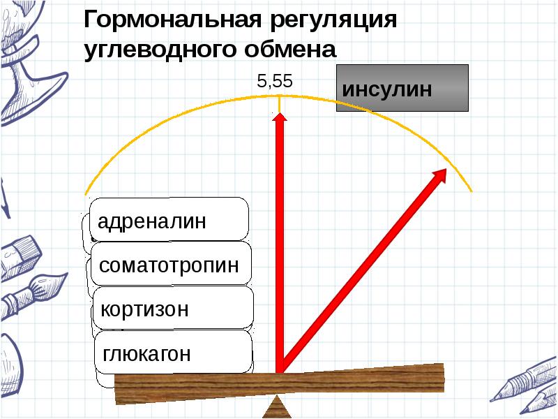 Адреналин или инсулин 6 букв. Адреналин и инсулин.