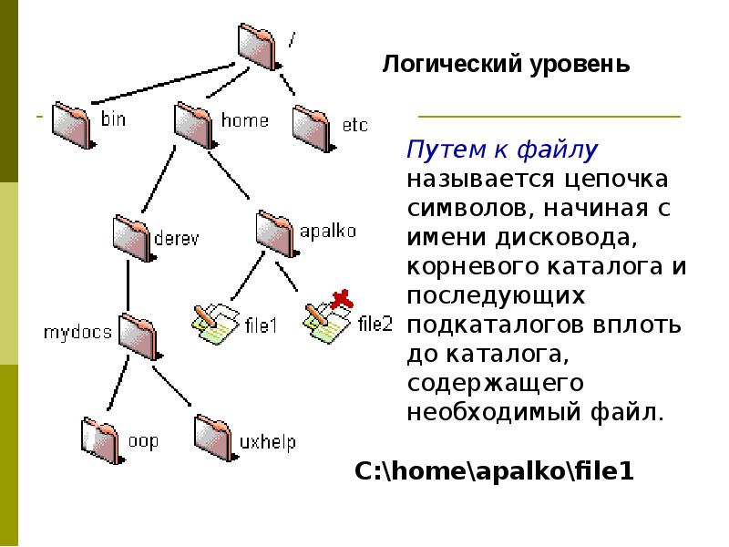 Файловая система ввод и вывод информации презентация