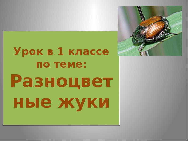 Презентация по изо урок любования умение видеть 1 класс