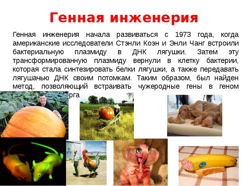 Генная инженерия презентация это