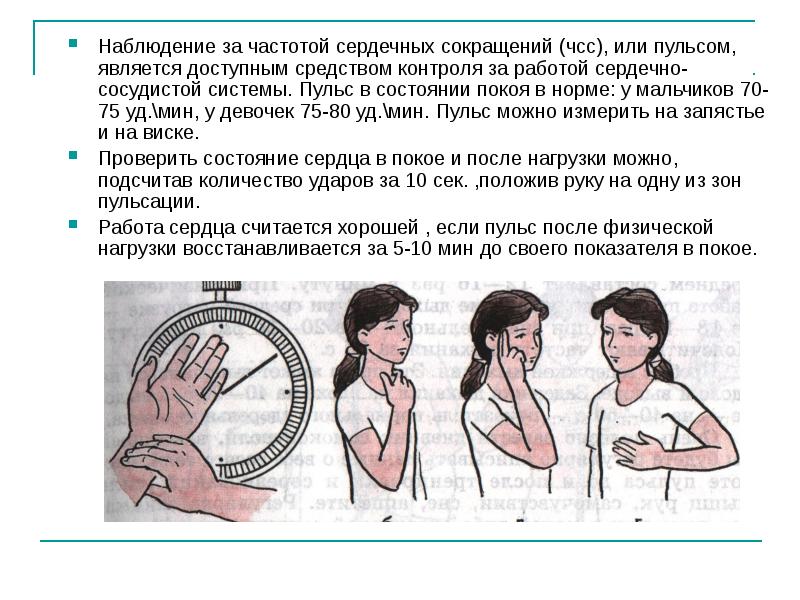 Влияние физических упражнений на организм человека проект