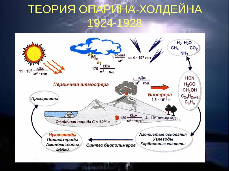 Схема химической эволюции жизни на земле