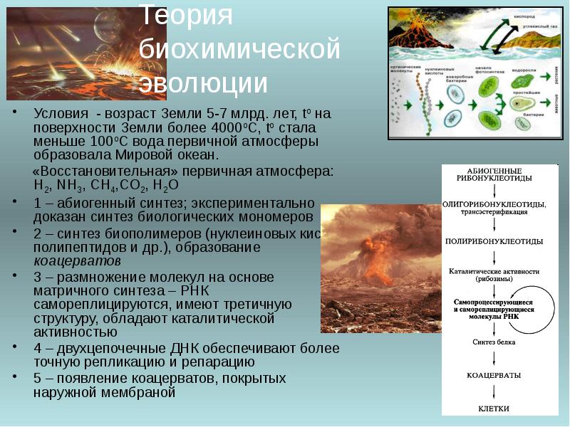 Презентация возникновение жизни