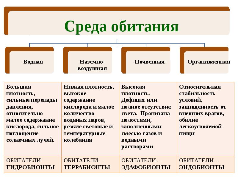 Чем отличается среда. Почвенная и организменная среда обитания. Экологические группы организменной среды обитания. Законы экологии ЕГЭ. Факторы экологии ЕГЭ.