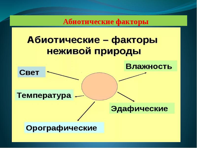 Влияние абиотических факторов на человека презентация