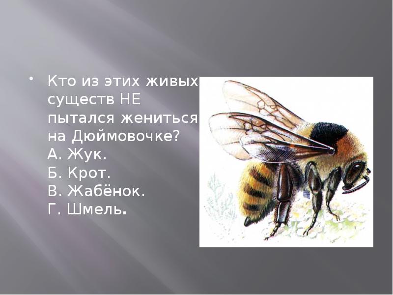 Кто женился на дюймовочке