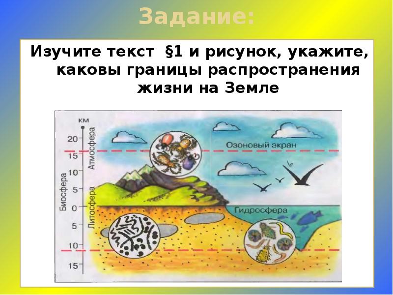 Изучив текст параграфа и рисунок 2 укажите каковы границы распространения жизни на нашей планете