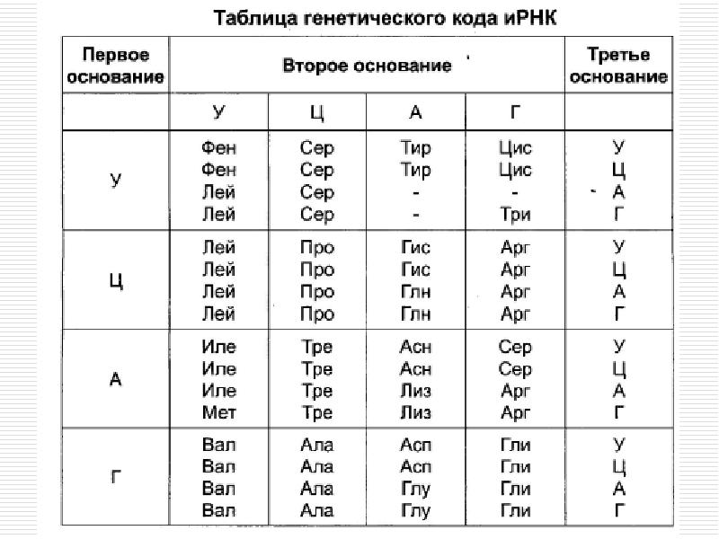 Карта генетического кода