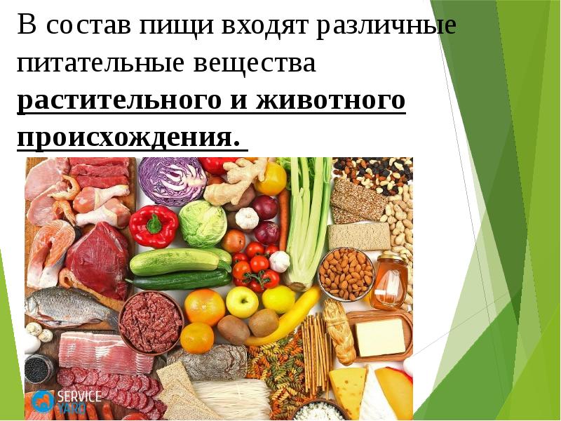 Продукты растительного и животного происхождения презентация