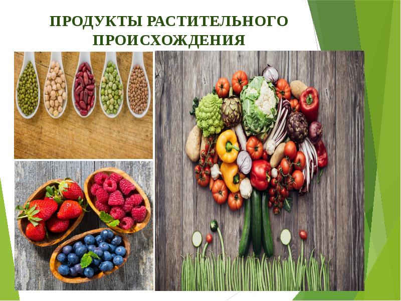 Food 5 класс презентация