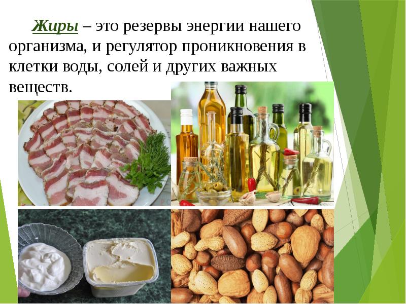 Жиры и моющие средства презентация