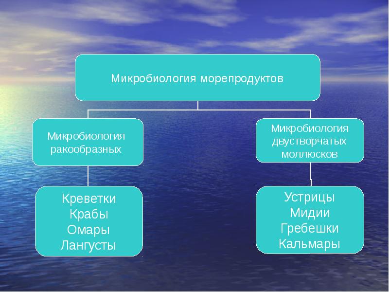 Микробиология рыбных продуктов презентация