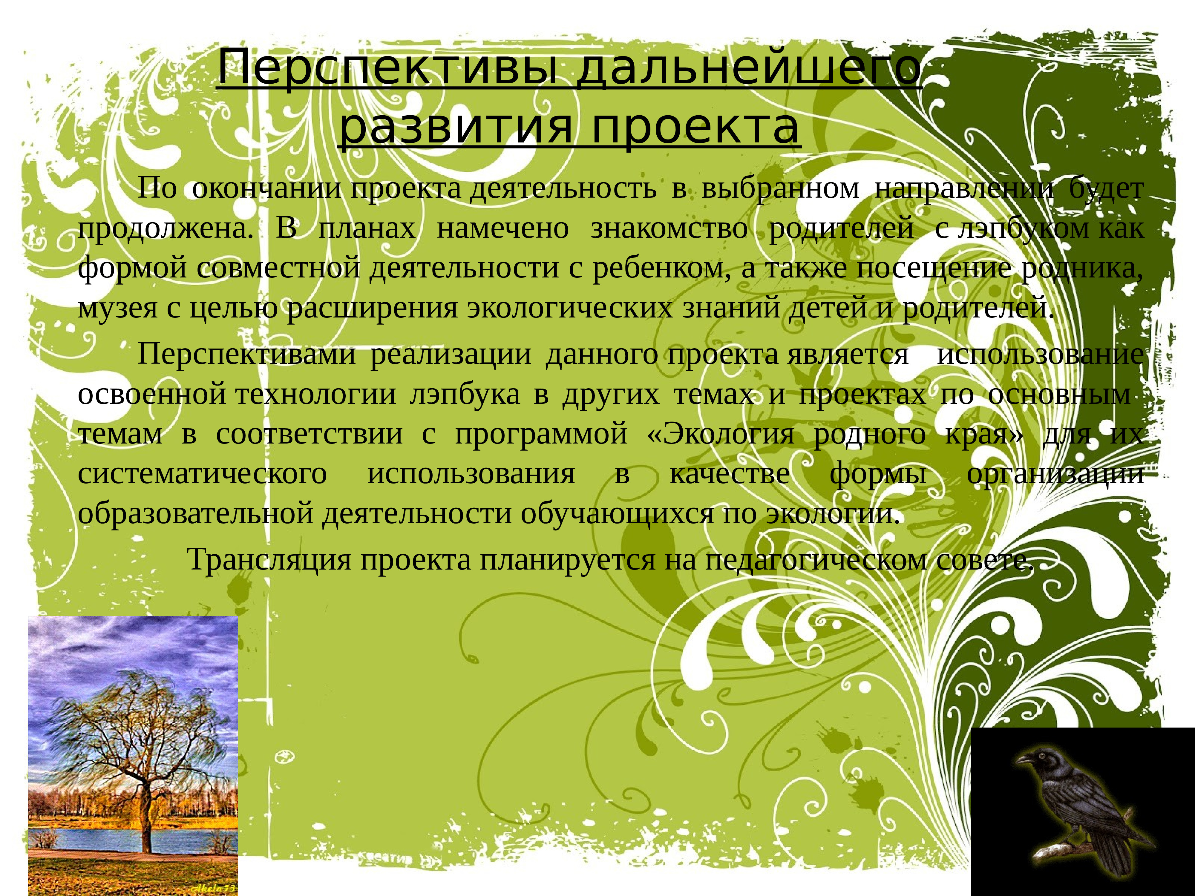 Перспективы дальнейшей работы над проектом пример