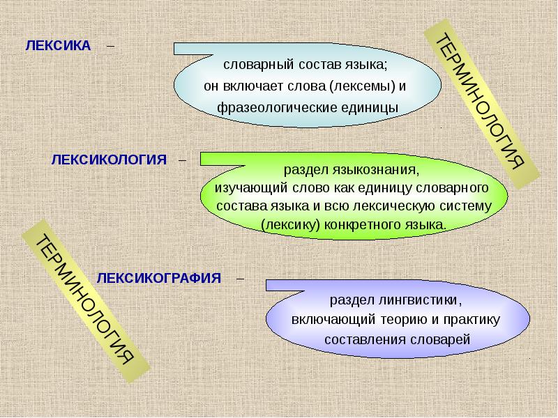 Лексикология 5 класс презентация