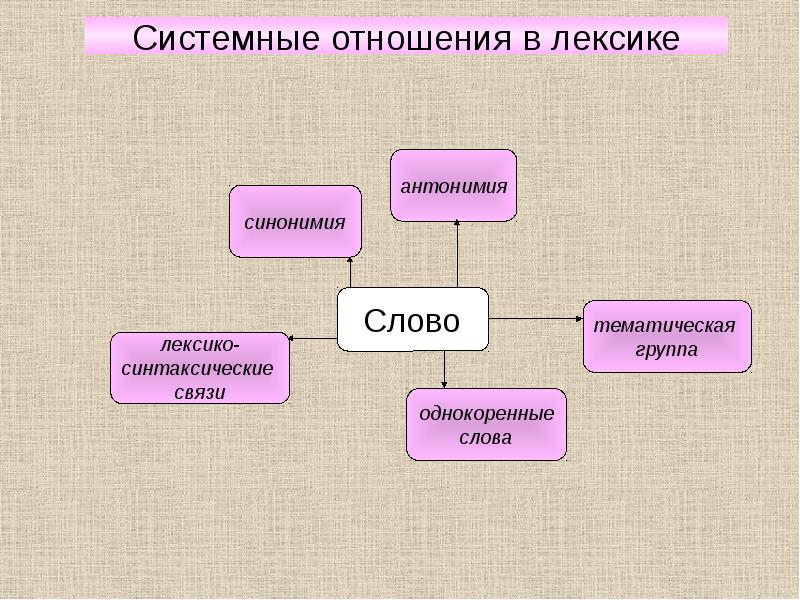 Лексикология 5 класс презентация