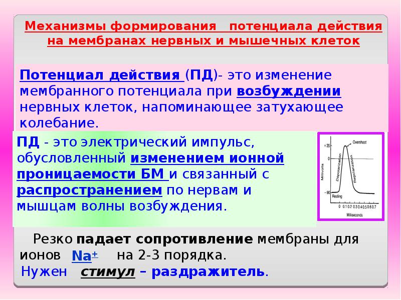 Механизм мембранного потенциала. Механизм формирования потенциала действия. Механизм формирования потенциала покоя. Механизм формирования мембранного потенциала. Механизмы формирования потенциала действия на мембранах.