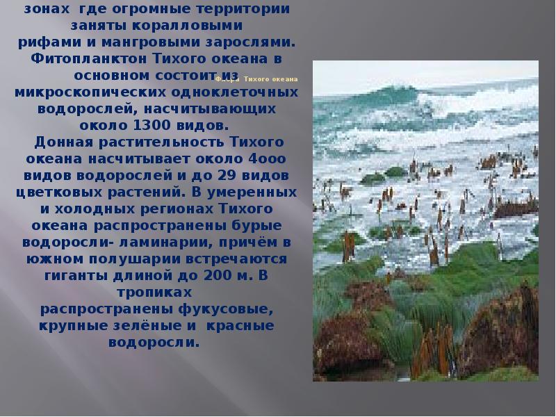 Сколько живет океан. Всемирный день океанов презентация. 8 Июня Всемирный день океанов. 8 Июня день океанов. 8 Июня день океанов картинки.