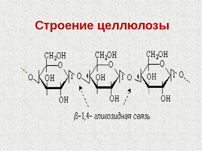 Схема образования целлюлозы