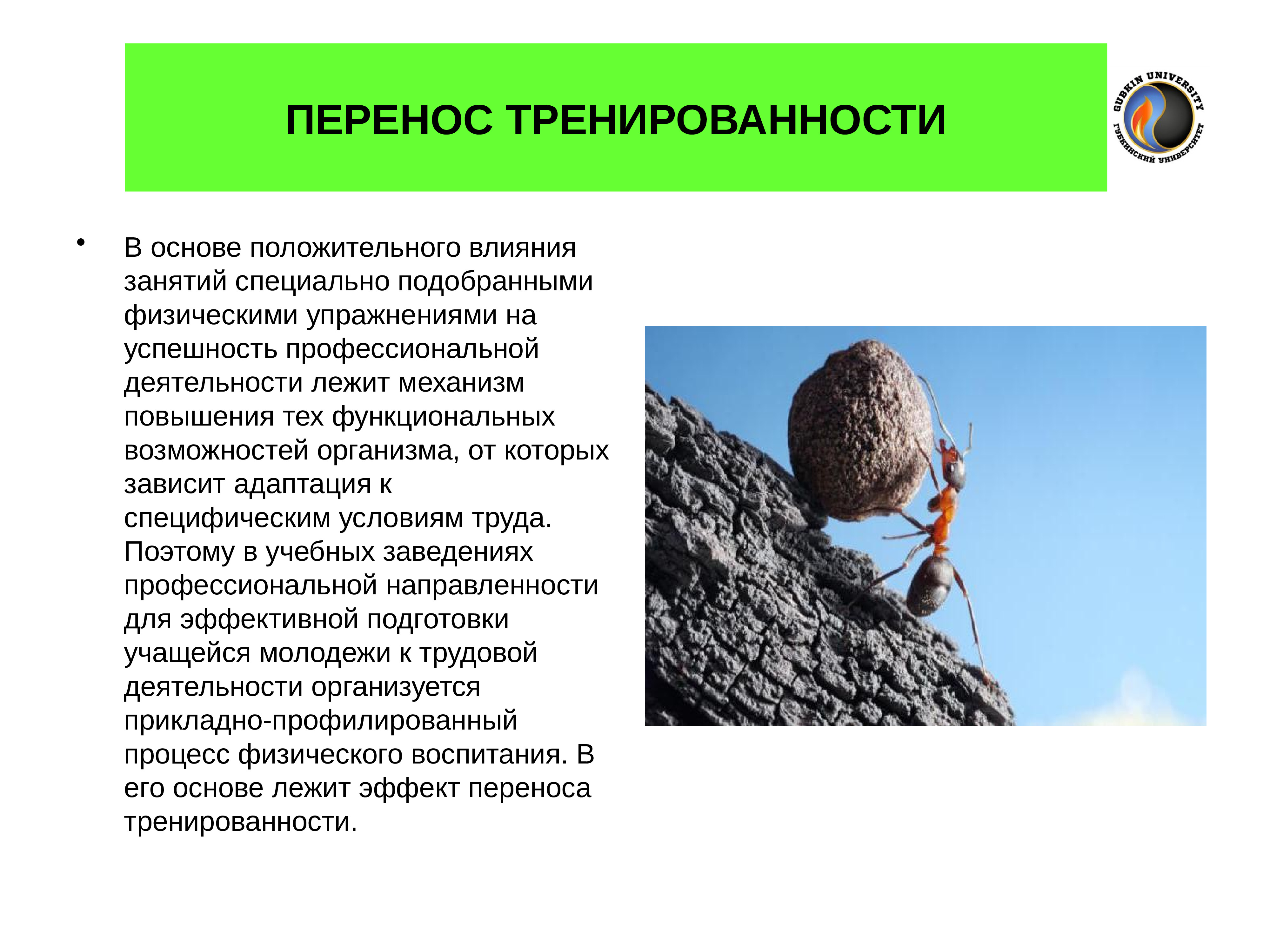 Отрицательный перенос. Направленность переноса тренированности. Перенос тренированности это. Таблица – направленность переноса тренированности. Физический труд положительное влияние.