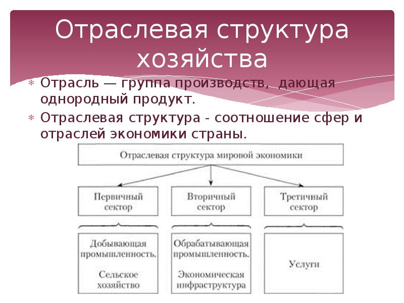 Схема отрасли экономики