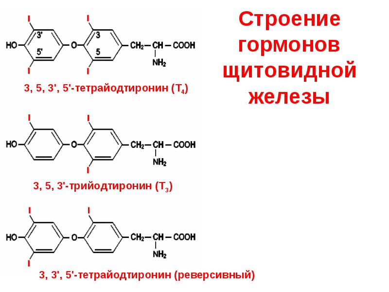 Синтез гормонов. Гормоны щитовидной железы строение. ТТГ формула структурная. Гормоны щитовидной железы т3, т4 строение. Строение тиреоидных гормонов биохимия.