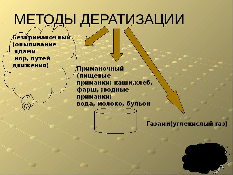 МЕТОДЫ ДЕРАТИЗАЦИИ