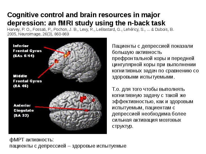 Cognitive studies