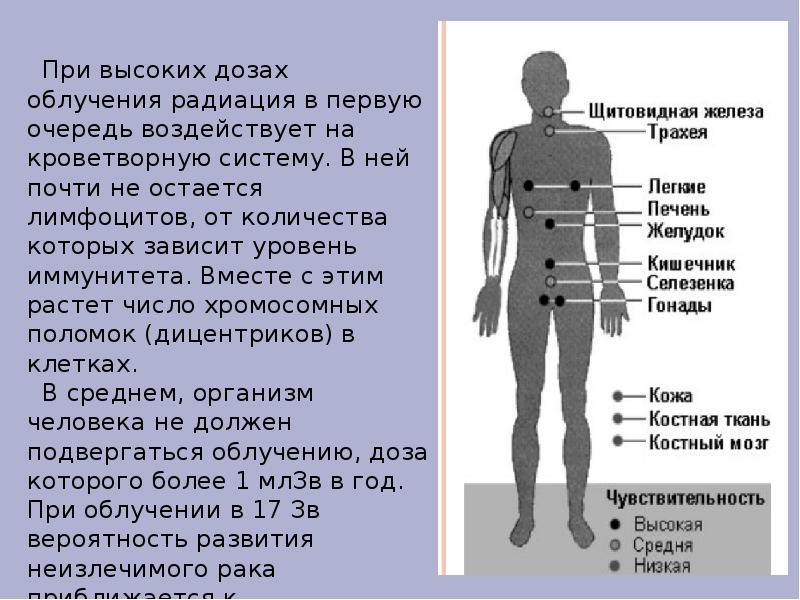 Радиация кожи. Влияние радиации на органы человека. Воздействие радиации на организм человека. Радиационное излучение влияние на человека. Как излучение влияет на человека.