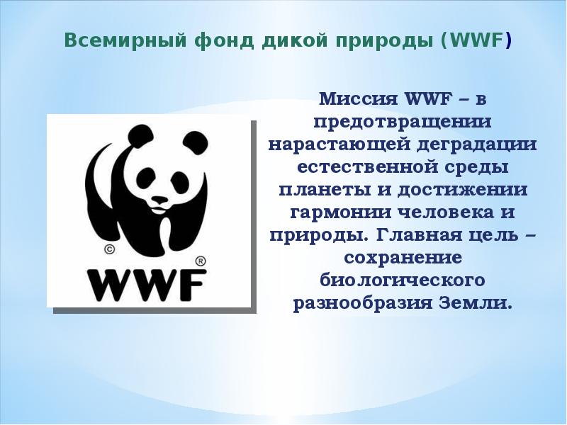 Wwf презентация на английском