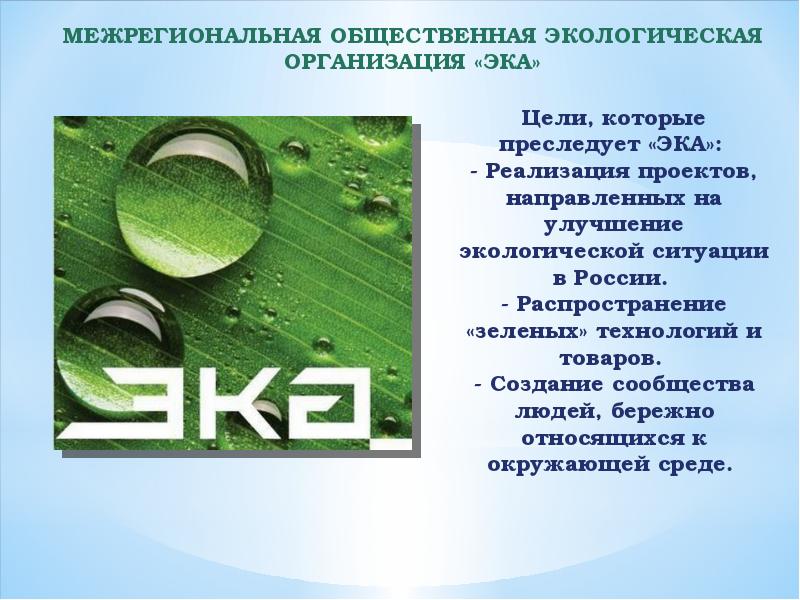 Экологические организации российской федерации