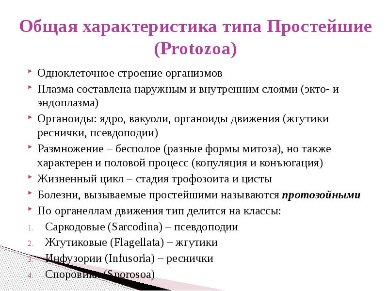 Типа характеризуется. Тип простейшие общая характеристика. Классификация и характеристика типа простейших.. Общая характеристика простейших 7 класс кратко. Простейшие общая характеристика простейших.