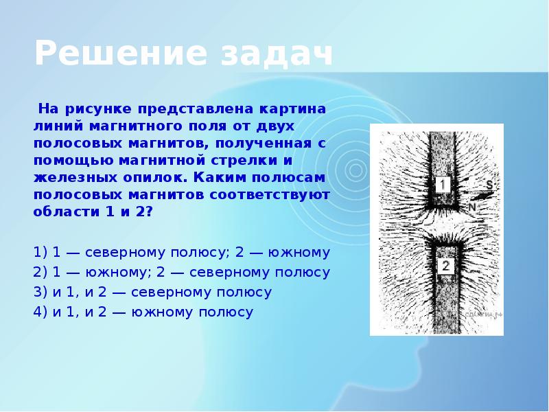 По картинке линий полученных с помощью железных опилок от двух полосовых магнитов