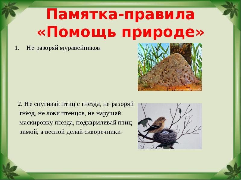 Памятка-правила «Помощь природе»  Не разоряй муравейников.    