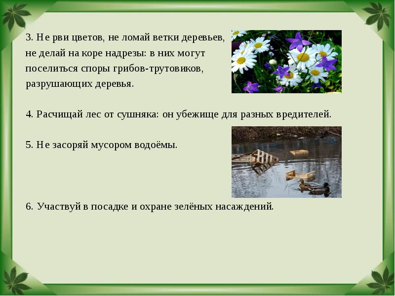 3. Не рви цветов, не ломай ветки деревьев,  3. Не
