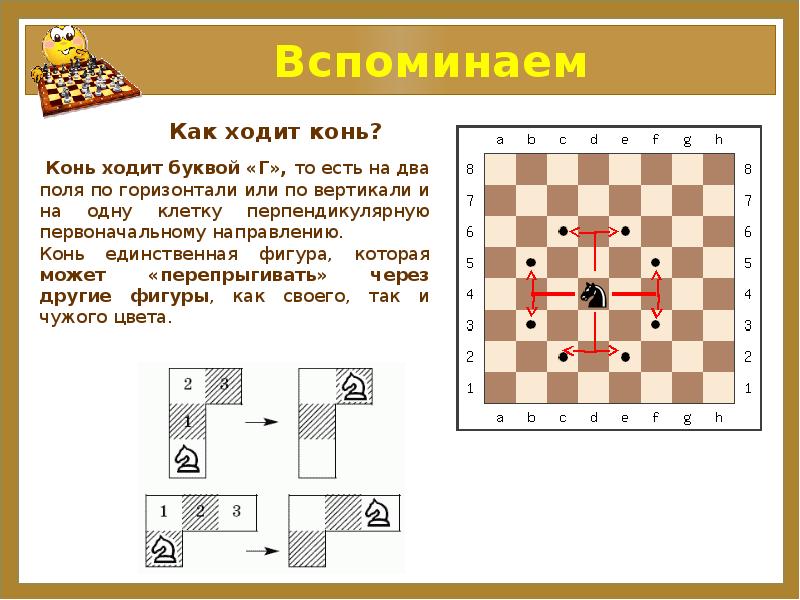 Презентация Знакомство С Шахматным Конем