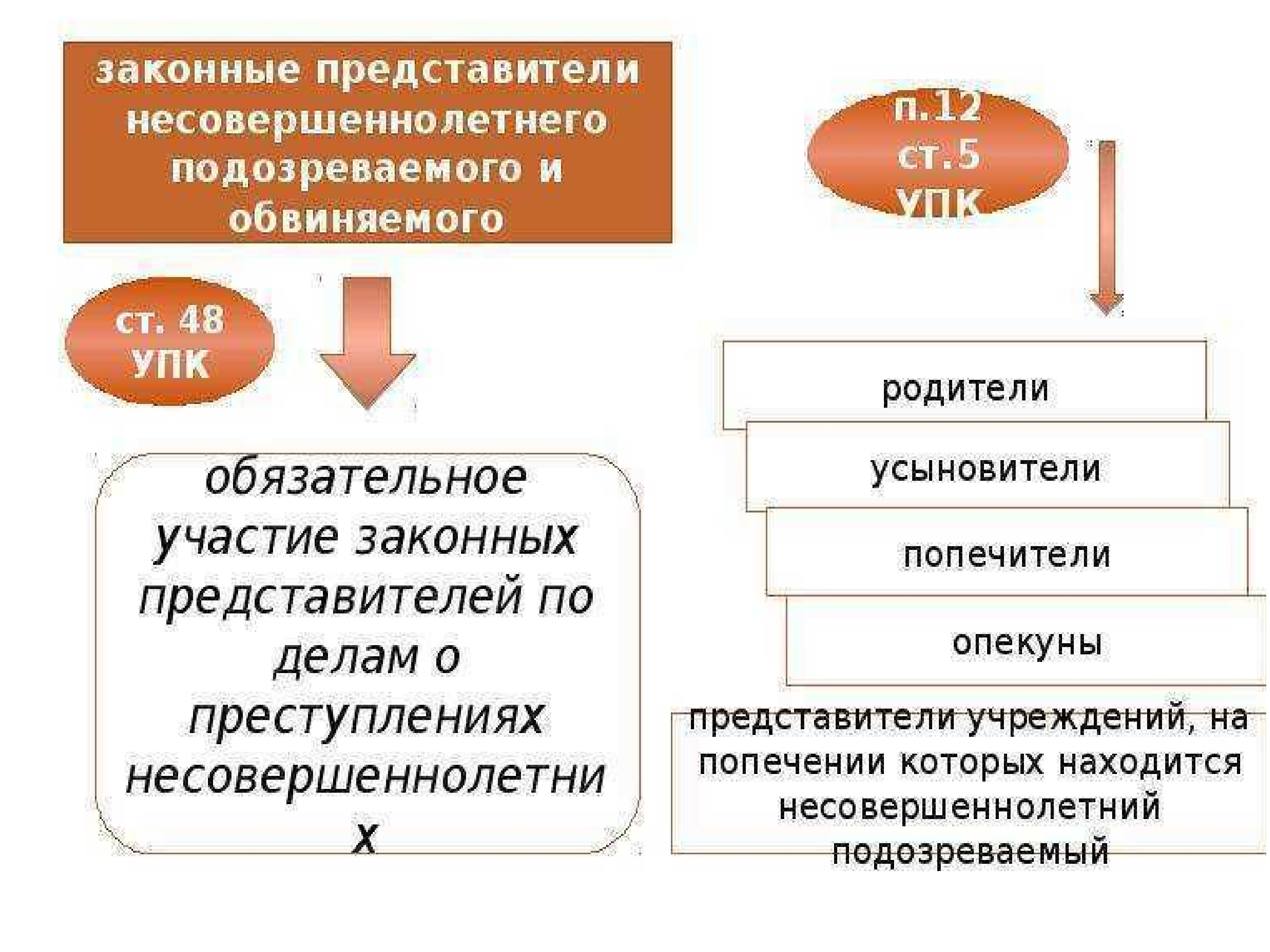 Законные представители родители опекуны попечители